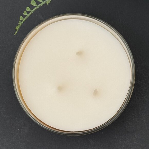 BBW Mango Passionfruit Bath & Body Works 3 Wick Candle - Picture 7 of 10